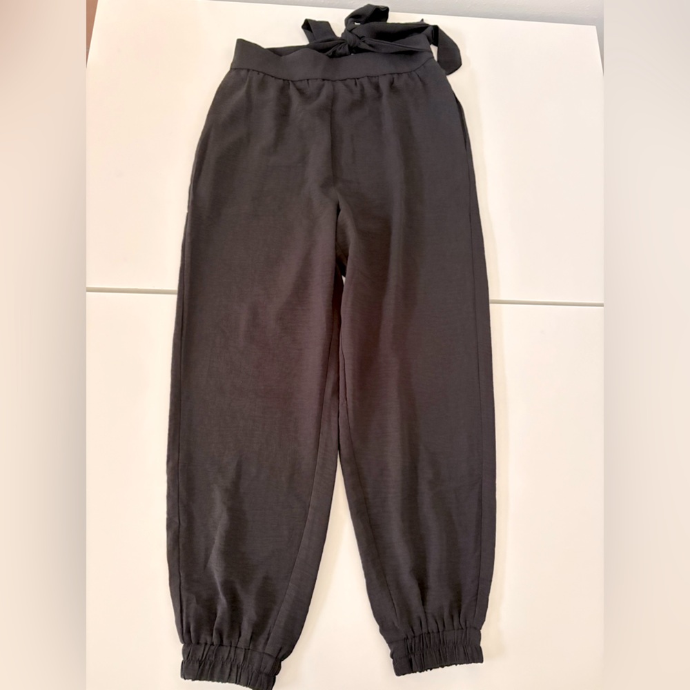 Yu YuKan  Black Silky Jogger Pants